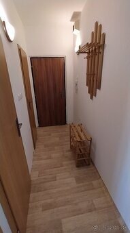 Prenájom 1izb.bytu s balkónom - 4