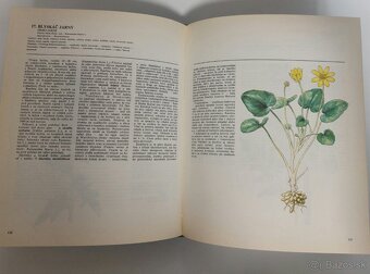 Atlas liecivych rastlin a lesnych plodov - 4