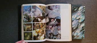 2 x knihy o potápaní - krásny stav - 4