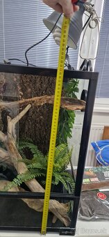 Predám terárium - 4