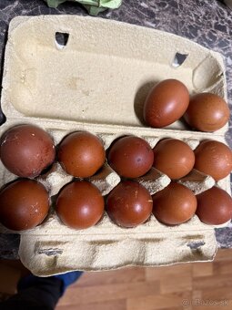 NV Maranska medenokrka - 4