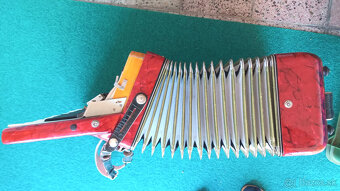 Akordeón Delicia - 4