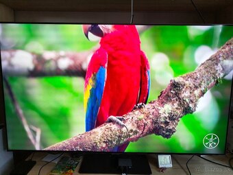 55" Samsung QE55Q80TA - 4