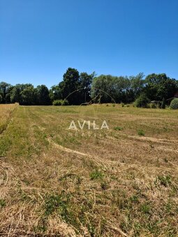Predaj: stavebný pozemok 800 m2 Bošáca - 4