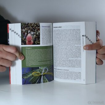 Japonsko - český turistický sprievodca Rough Guides - 4