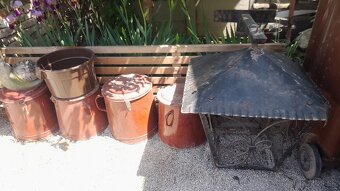 Terakotové kvetináče 10eur, 15eur /kus, veĺké plastové 15eur - 4