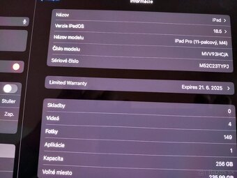 IPAD Pro M4 11" 2024 Silver 256 GB - 4