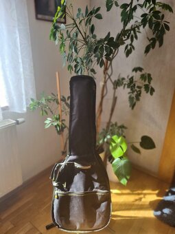 Gitara španielka, puzdro zadarmo - 4