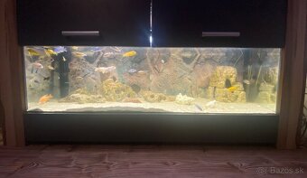 Set dvoch akvárií - 4