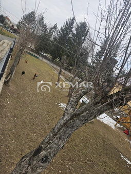 Predaj rodinný dom v obci Dolná Ždaňa - 4