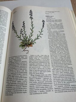 Atlas liečivých rastlín a lesných plodov--1982--Kresánek Jar - 4