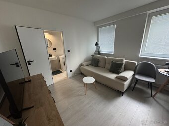 1 izbovy / studio apartment - 4
