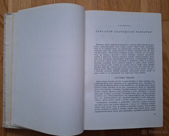 Zubna protetika - 4