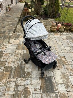 Petite and Mars up - 4