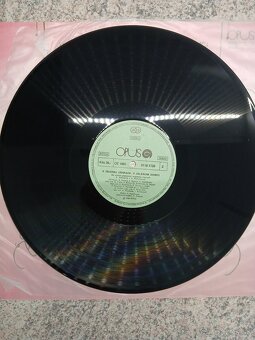 V zelenej záhradke, v zelenom domci - 4