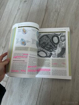 Janqueirove základy histológie - 4