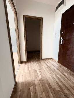 2-izbový byt, po rekonštrukcii Šaľa- centrum. - 4