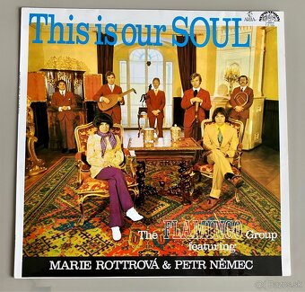 LP The Flamingo Group - This Is Our Soul - 4