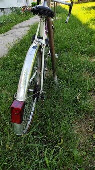 Bicykel eska premier (favorit) - 4