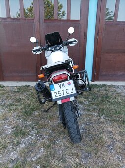Honda transalp XL600 - 4