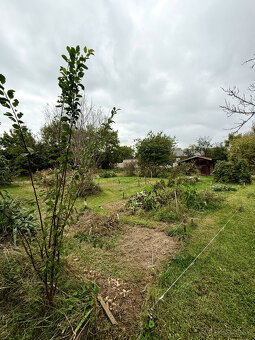 Výborná investičná príležitosť - 4