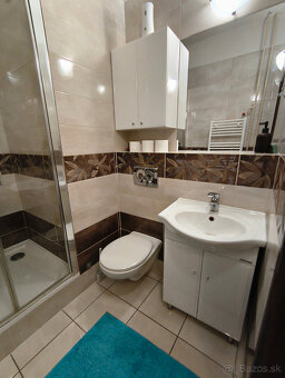 Priestranný 1-izbový byt v tehlovej bytovom dome - 4