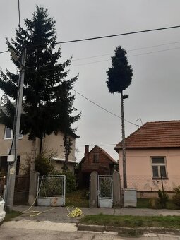 Arboristické a Pilčícke práce - 4