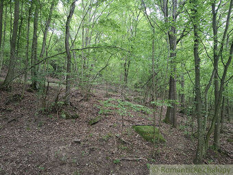 NOVÁ CENA  Rozsiahle lesné pozemky v Podpoľaní - 4