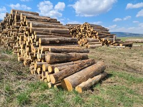 Palivové drevo,  odrezky - 4