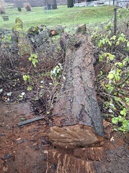 Čerešňová drevo - 4