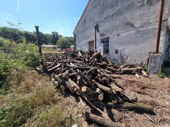 Palivové drevo metrovica dub buk cer - 4