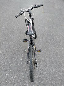 Bicykel Harry Flop - 4