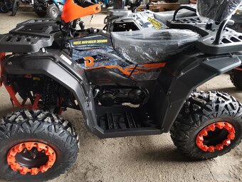 Ranger 300RR - 4