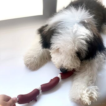 Hračka žuvacia – Tri špekačky pre stredné a veľké plemená - 4