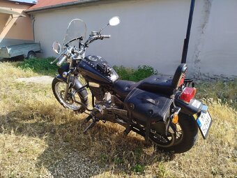 Savage LS 650 - 4