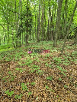 „TARGETreal | 2 pozemky v Belušských Slatinách" - 4