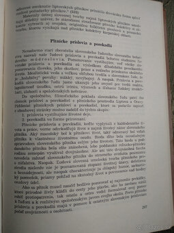 Slovenskí pltníci - 4