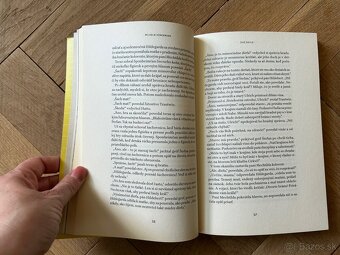 Živé svetlo - historický tomán o sv. Hildegarde z Birgenu - 4