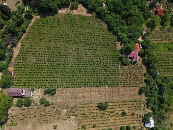 Chata s rozsiahlym pozemkom nad obcou Hrušov - 4