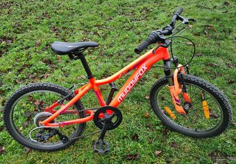 Detský horsky bicykel 20” - 4