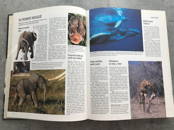 Súkromie živočíchov - 4