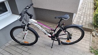 CTM TERRANO LADY - 4