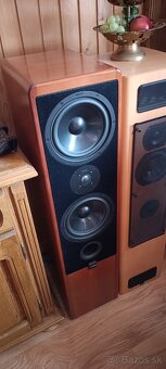 Canton ergo 81dc - 4