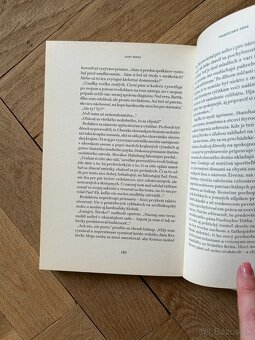 Prebúdzanie obra: román o živote biskupa Štefana Moysesa - 4