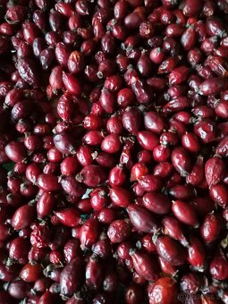 Sušené šípky - 4