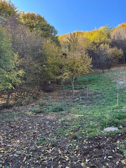 Na PREDAJ rodinný dom v obci Ihráč s krásnym pozemkom - 4