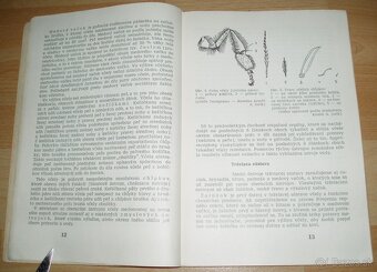 Výživa a kŕmenie včelstiev - 4