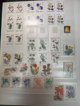 Námetová zbierka kvety - 4