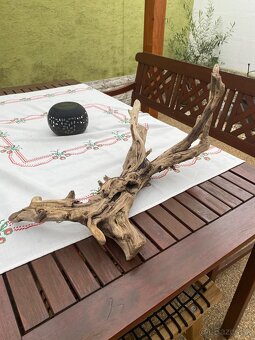 Korene do akvaria - 4