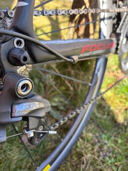 Focus Cayo - 4